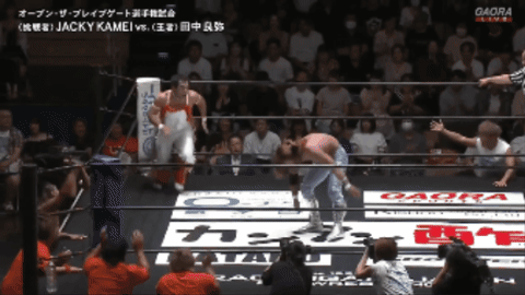 cf50fd470d28144e15134ca12981de62.gif