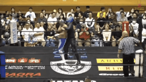 d80fcc84c4eefada15f0e2bae193f05a.gif