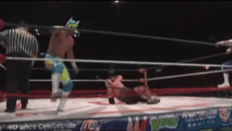 fce3678c986a525da85ef4ebcf5ee4b0.gif