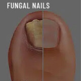 2d6c2cacde06348dd6e00e3880068f4f