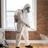 c74efd14a5dbb31cc0eec4cd38f28de7