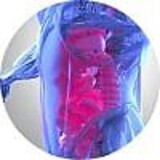 ab23636b6d8db9bd651b66323433ca8e