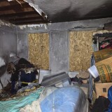 29940fff573ee5b1154702d8b8fe86b6