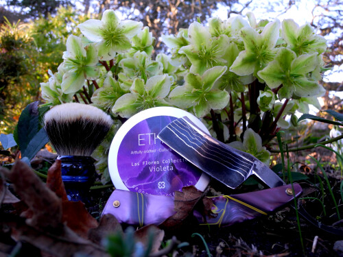 Shave Feb 11, 2026 1