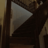 1a0cb5d8e69680d460e9104ea773c0d9