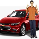 0ec311d18acfaa0a29d0b294693bf029