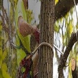 71c406961c8af242b019edad8eb4f3c7