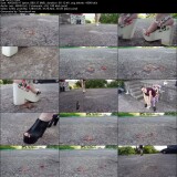 7d3cc4ca16bf0ee8a57d107011c9520c