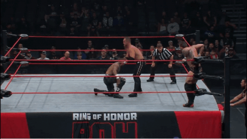 184bd1fc9147a20f7aa4a94c65e1302c.gif