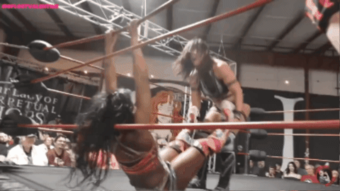 2bb1c0261696bc4ff68ac6865b1c8c0d.gif