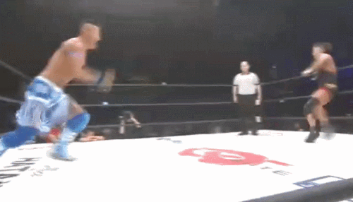 5446a0c2e6f4a9cfdb58afb1991e5aee.gif
