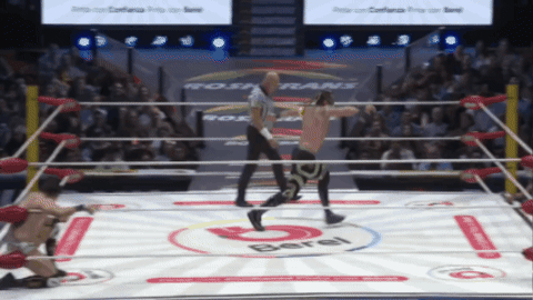 8943a067c7b9535a075bc91da4105553.gif