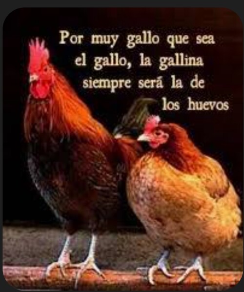 6dce2aab3d1f89e5a269e82998dfb7d5.jpg