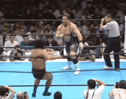 0530d6c88b6e4bfc8b92fbe3a31411c2.gif