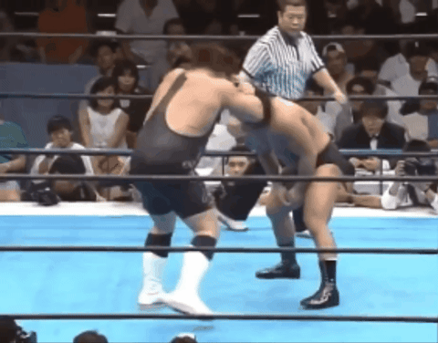 2fd0bfb2b7076c8000152770de9e7087.gif