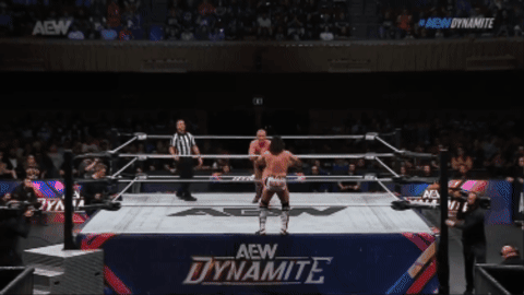 43066d54f8467d3636461d486125e41b.gif