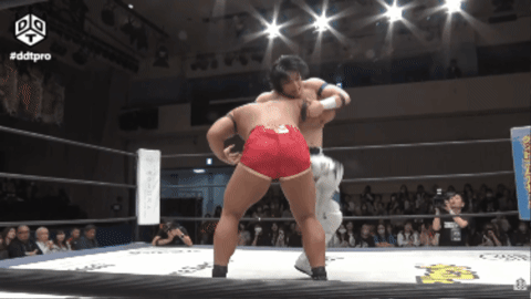 de7bf9cae68531e5c2574a8439ae7bee.gif