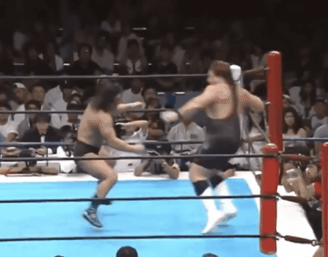 e5a790b4044a0994e74ba128e0534949.gif