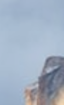 d7455e2faa04d5b57debcafc8198279f.png