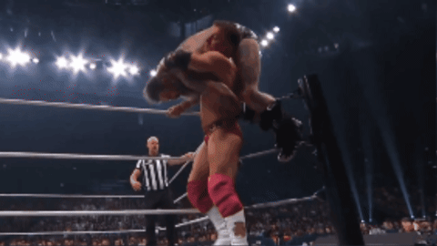 3977958a7a5c56d84d8a50318e71d959.gif