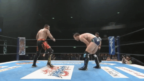 7cda7997387d92ea1d41119e172e3955.gif