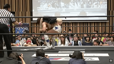 a10d1f1e41e85c705c96dc8756caf6b0.gif