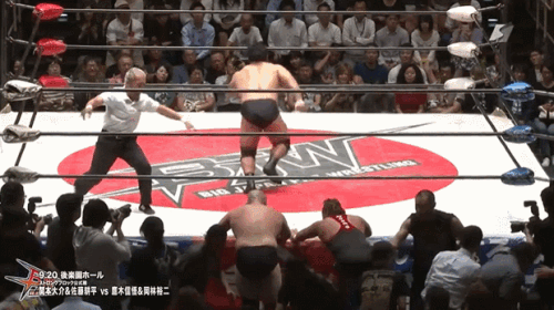 1b20266938afe7b3c54237f2ebdf6724.gif