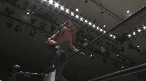 2dcd1260f1bbb68276a5646ce422c95a.gif