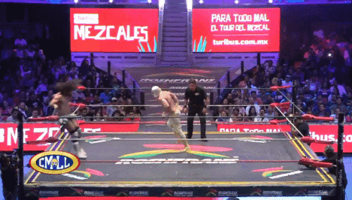 47f4dd774c8ed3d2095c520930e84140.gif