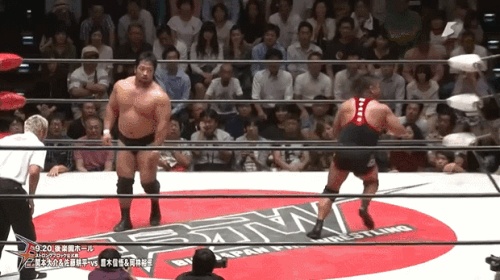 acd938de750d35fa616fa55137442ccb.gif
