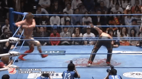 ba5d488a516620429a5c113a53bda223.gif