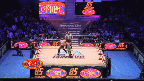 d17bda5b40faf83f5171c943e0a58e5c.gif