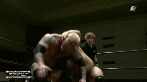 f5e6963130254851fd0f998b23804eb6.gif