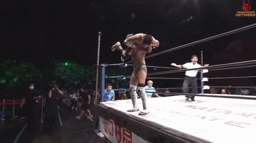 554f5320043a0f47ec505d5aa450164e.gif
