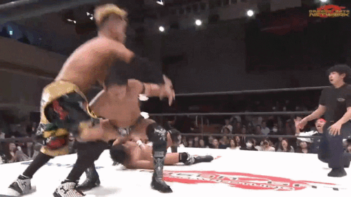 ec5da92d8d96ae55329d7850000f11dd.gif