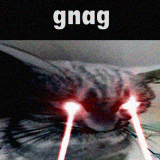 8499bd9a16f3cb2f3cac1697215cdcca.png