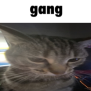 97094aea91be7fe8c084b44affc57055.png