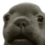 5b66d1e57200e510b1b9dca3e5643af3.png