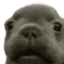 8214a7d496b60ef8e18c7e11158d9768.png