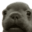 f868dc97ae9d58933f1b298ce6b1ccd3.png