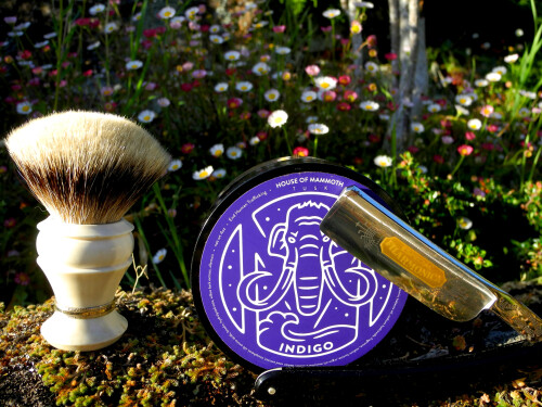 Shave May 29 2026 1