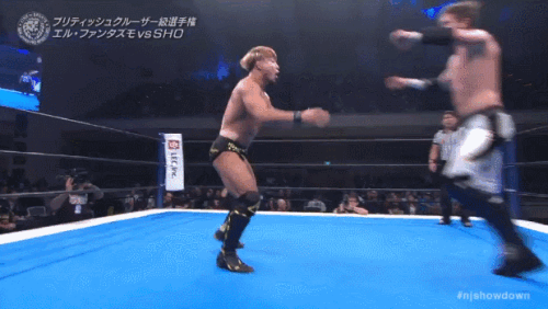 a40cdb10dc9409e03243c56e855860b7.gif