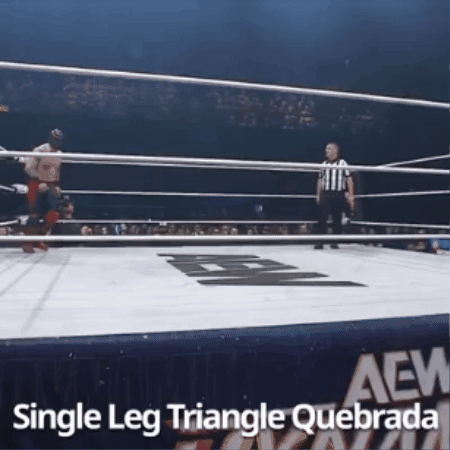 4867934a5727cb49fef58744fcd2406d.gif