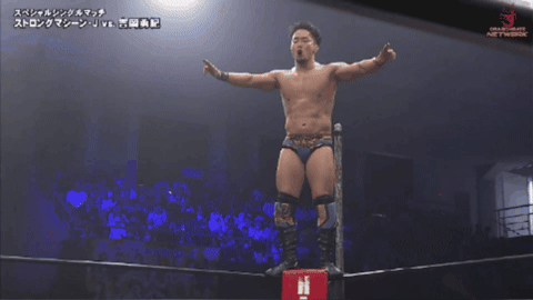 7997c92780d56aa14cbb0dc987219216.gif