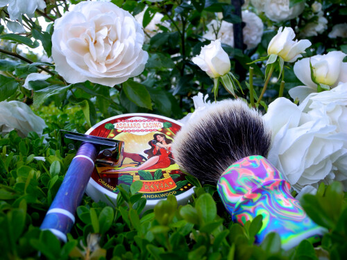 Shave June 19 2026 1
