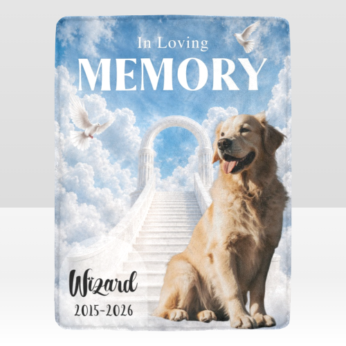 ea8e7acd5a857655518ee738cf097eb1.png
