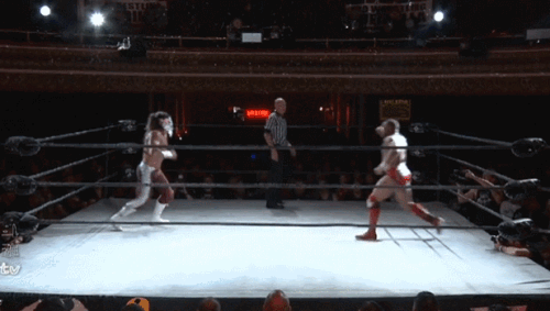 1218dff229ff8323a295bd5d02c8c4f9.gif