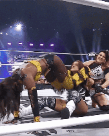 1476059c0141014f570da2daec0150f0.gif