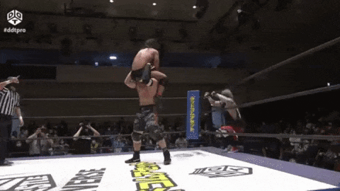 222454cf4314e20dc9ee037a3c35ba64.gif