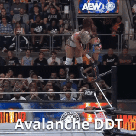 2e4f584fd589666cb82c0026f31d9661.gif